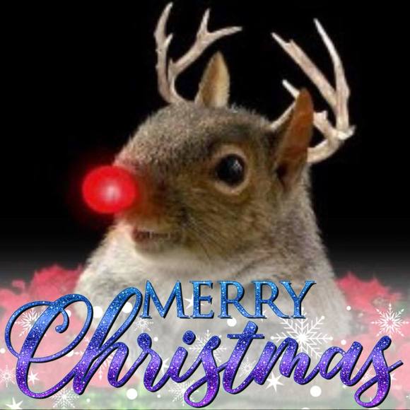 Meet your Posher, Debra - Picture 2 of 3